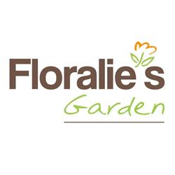 Floralies Garden S.a., Bétheny - Horaires d'ouverture
