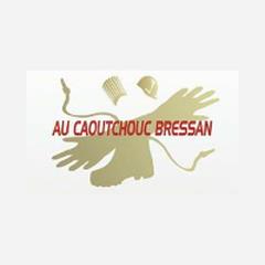 Au Caoutchouc Bressan, Bourg-en-Bresse - Horaires d'ouverture