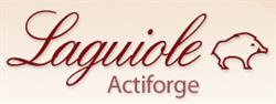 Laguiole Actiforge S.a.r.l., Montbrison - Horaires d'ouverture