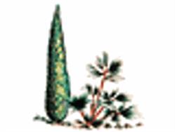 Les Jardins De Provence, Le Pouzin - Horaires d'ouverture