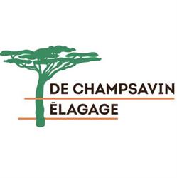 DE CHAMPSAVIN ELAGAGE, Thouaré-sur-Loire - Horaires d'ouverture