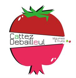 Cattez Debailleul S.a.r.l., Lomme - Horaires d'ouverture