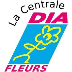 Dia Fleurs S.a.r.l., Hyères - Horaires d'ouverture