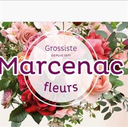 Marcenac Fleurs S.a.r.l., Saint-Estève - Horaires d'ouverture