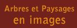 Arbres Et Paysages S.a., Courcouronnes - Horaires d'ouverture