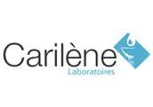 Laboratoires Carilène (Farmaceutici DAMOR Group), Montesson - Horaires d'ouverture
