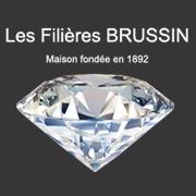 Les Filières Brussin S.a., Trévoux - Horaires d'ouverture