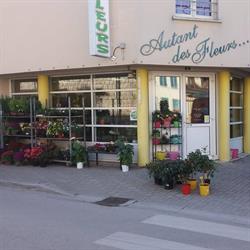 Autant Des Fleurs, Brienne-le-Château - Horaires d'ouverture