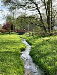 Mairie de Belmont-sur-Buttant, Aydoilles - Horaires d'ouverture