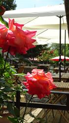 RESTAURANT LE PHA, Le Bugue - Horaires d'ouverture