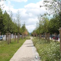 Savart Paysage, Châlons-en-Champagne - Horaires d'ouverture