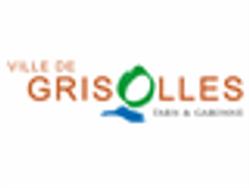 Mairie - Grisolles, - Horaires d'ouverture