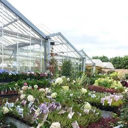 Les Jardins D'emilie Standard, Gazeran - Horaires d'ouverture