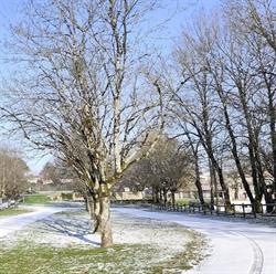 Mairie, Celles-sur-Belle - Horaires d'ouverture