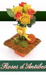 Roses d'Antibes, - Horaires d'ouverture