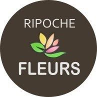 Ripoche Fleurs, Beaupréau-en-Mauges - Horaires d'ouverture