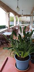 Le Grand Jardin, Aujargues - Horaires d'ouverture