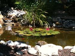 Les Jardins Aquatiques, Marines - Horaires d'ouverture