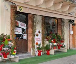 Amaryllis Fleurs, Montech - Horaires d'ouverture