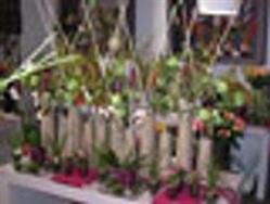 Jardi-Flor, Nexon - Horaires d'ouverture