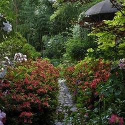 Jardin du Petit Bordeaux, Saint-Biez-en-Belin - Horaires d'ouverture