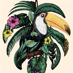 Le Toucan, Caen - Horaires d'ouverture