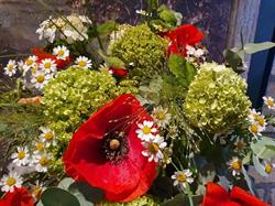 Les Coquelicots Sucrés, Auvers-sur-Oise - Horaires d'ouverture
