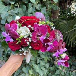 Myosotis, Artisan Fleuriste, Mussidan - Horaires d'ouverture
