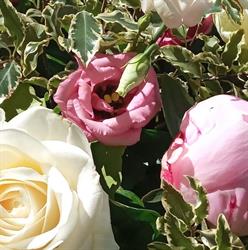 Senteurs De Montfleurs, Montfort-sur-Risle - Horaires d'ouverture