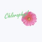 CHLOROPHYL, Le Creusot - Horaires d'ouverture