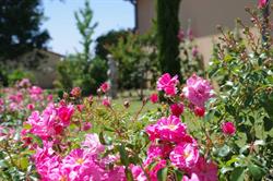 La Bastide d'Iris, Vagnas - Horaires d'ouverture