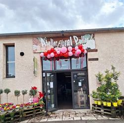Atelier Floral Pollen, Maclas - Horaires d'ouverture