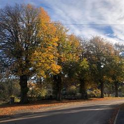 Mairie, Foulain - Horaires d'ouverture