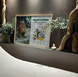 Profession Beauté, Blagnac - Horaires d'ouverture