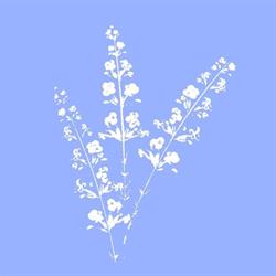 Atelier Bleu Lavande Fleuriste, La Couronne - Horaires d'ouverture