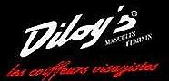 Salon Diloy's Ladeveze, Auch - Horaires d'ouverture