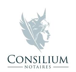 Consilium Notaires, Pluguffan - Horaires d'ouverture