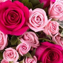 Dany-Flor, Jaligny-sur-Besbre - Horaires d'ouverture