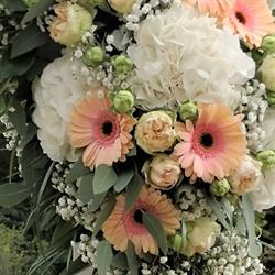 Capucine Isabelle Fleurs SARL, Clamecy - Horaires d'ouverture