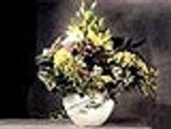 Au Rallye Floral, Amiens - Horaires d'ouverture