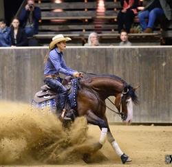 Ranch Etalon Blanc, Entraigues-sur-la-Sorgue - Horaires d'ouverture