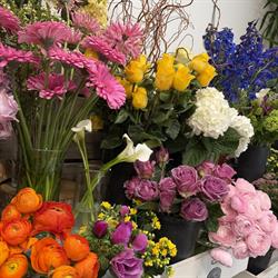 Art Floral - Fleuristes Cormontreuil, - Horaires d'ouverture