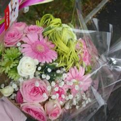 Capucine Fleurs, Charleville-Mézières - Horaires d'ouverture