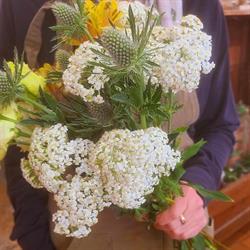 Sylvie Fleurs, Lauris - Horaires d'ouverture