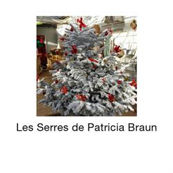Serres de Patricia Braun EARL, Châteauroux - Horaires d'ouverture