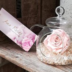 Aux Roses, Argentan - Horaires d'ouverture