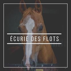 Ecurie des Flots, Altwiller - Horaires d'ouverture