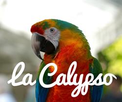 la Calypso, Arcachon - Horaires d'ouverture