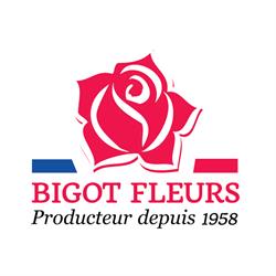 Bigot Fleurs, Allonnes - Horaires d'ouverture