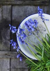 D'une Fleur A L'Autre, Pont-d'Ain - Horaires d'ouverture